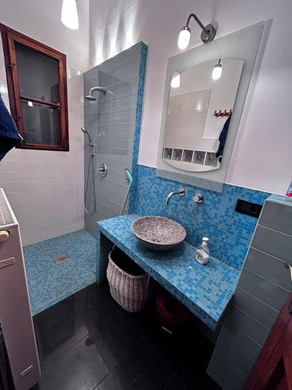 in cadrul unei cladire simbolice demne de remarcat- PALATUL BANATEAN - 13