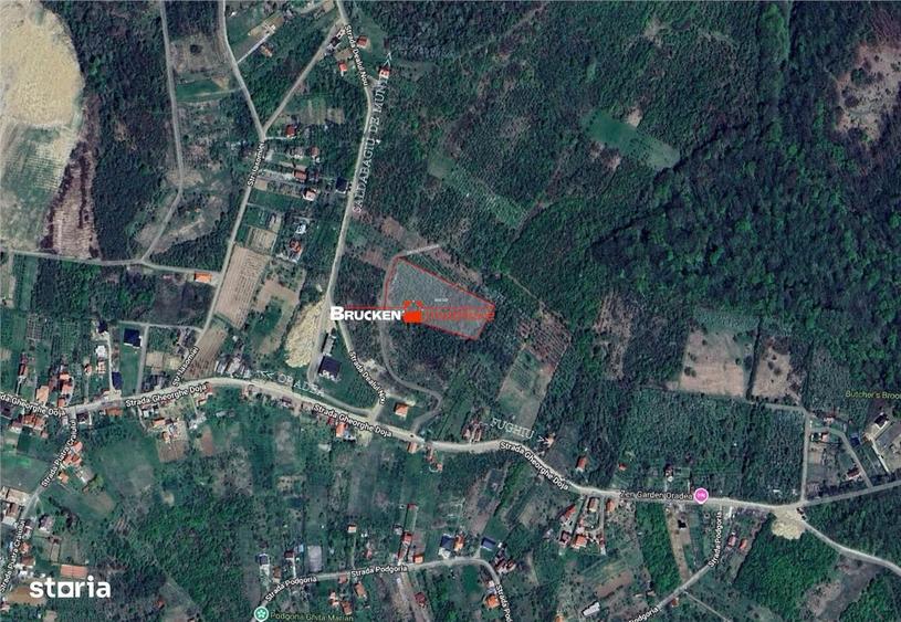 Teren intravilan de vanzare 9.091 mp | Front 77 ml | Acces din Gh. D - 3