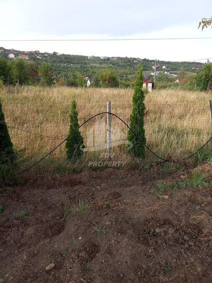 Teren intravilan  ,1020 mp, Sibiu, Daia Noua - 10