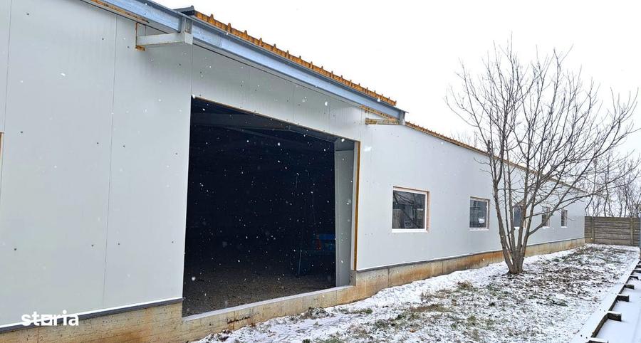 Hala de vanzare 767 mp, Parcul Industrial Craiova, Utilitati incluse - 4