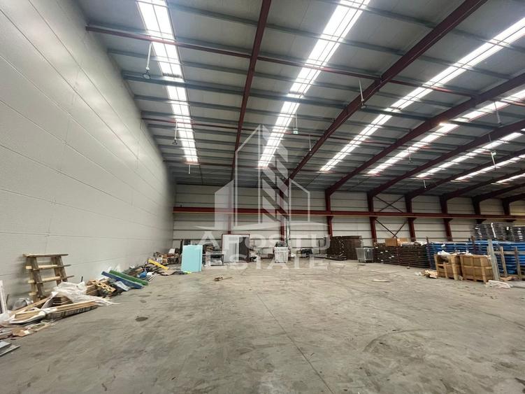 Hala 600 mp constructie noua, de inchiriat,  Sacalaz - 5