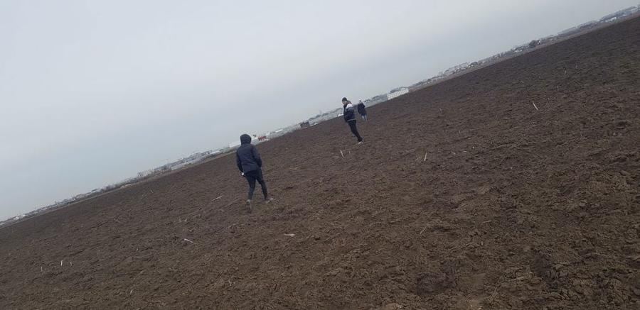 Teren de vanzare Soseaua Bucuresti - Magurele str malinului - 6