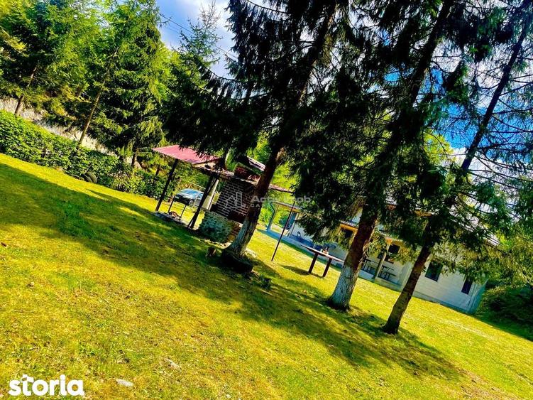 Casa de vacanta de vanzare Valea Avrigului - 4