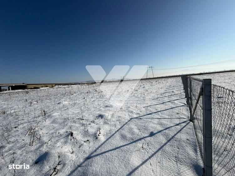 Teren agricol 4200 mp pretabil investitie imprejmuit ,Calea surii mici - 1