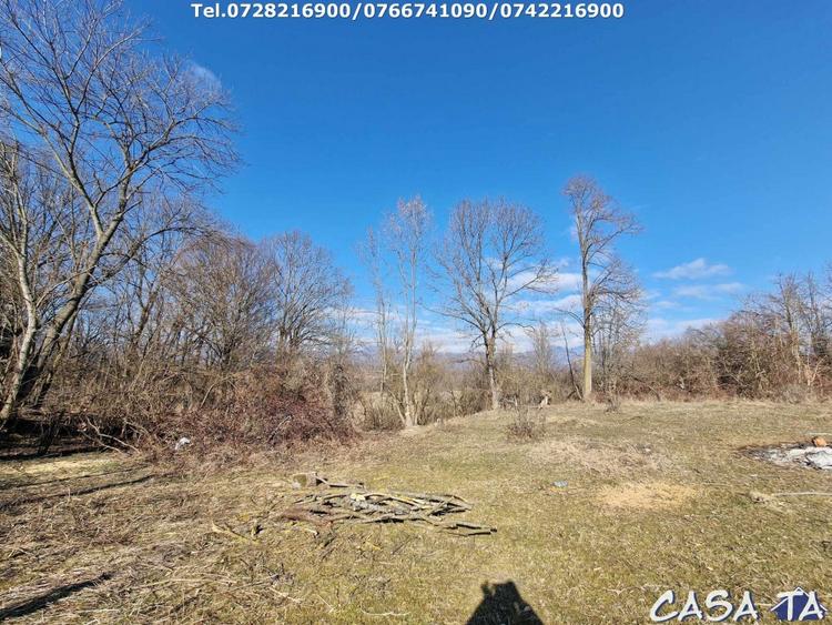Casă individuală cu 3 camere cu Teren 3346 Mp în Central