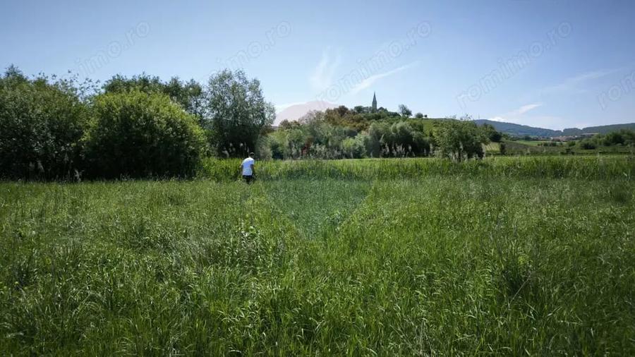 Teren de 15360 mp, în Blăjel