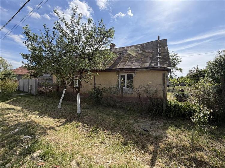 Casă cu 3 camere cu Teren 1230 Mp în Sălard