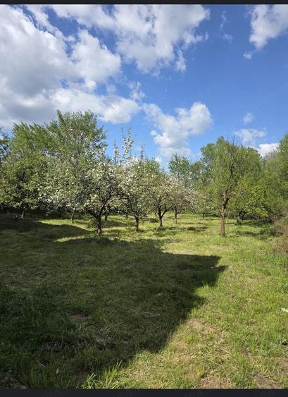 Casă cu Teren 5500 Mp în Central