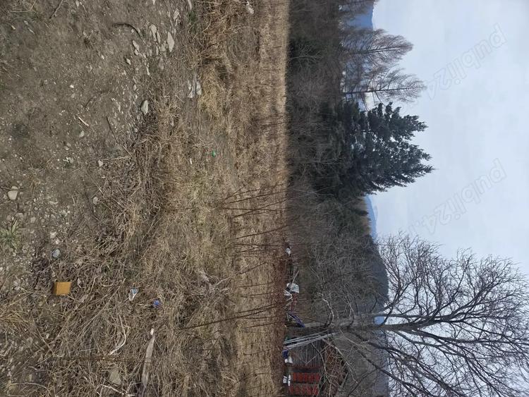 Teren de 2000 mp, în Hangu