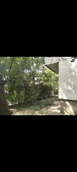 Apartament cu 2 camere decomandat în Aradul Nou