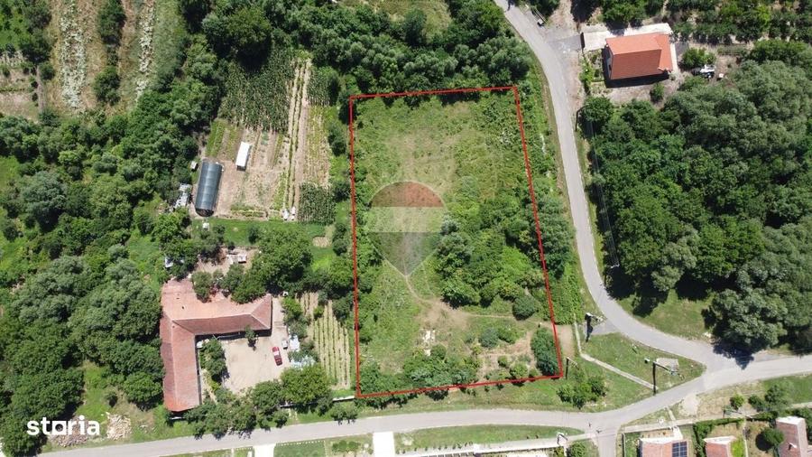 Teren intravilan 2877 mp Murani langa Domenii oportunitate investitie - 2