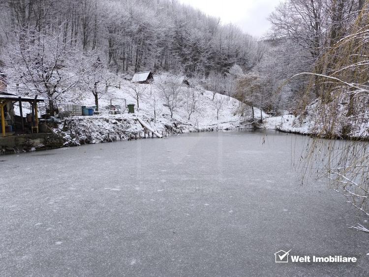 Casa de vacanta, cu lac, 5640 mp teren, Huta, com. Chiuiesti, jud. Cluj - 37
