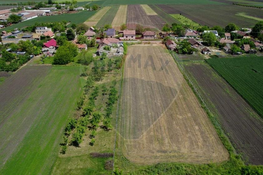 Teren intravilan 5,018mp Variasu Mare - 15 km de Arad/ str. Principala - 3