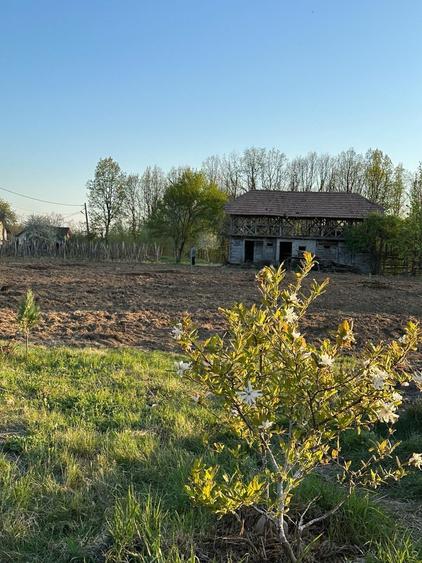 Vand teren cu potential - 1