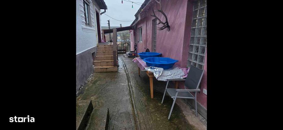 Casa separata cu teren generos de 3650mp - 14
