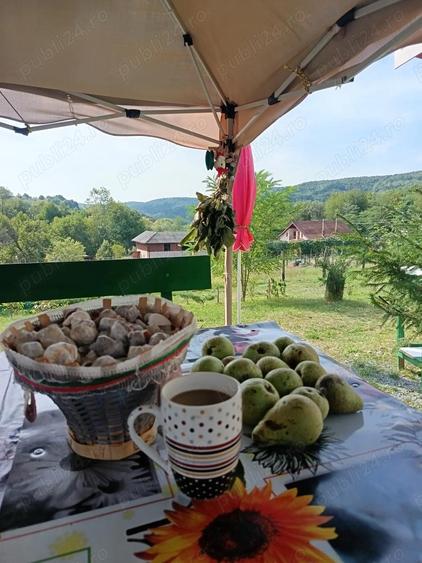 Vind cabana ?i teren in jud.Arges - 5