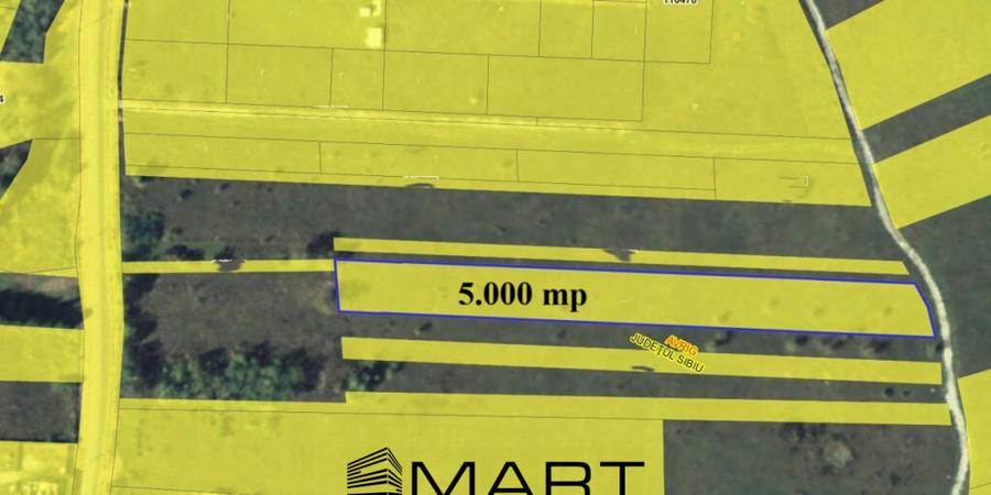 Teren intravilan 5000mp Valea Avrigului - 8