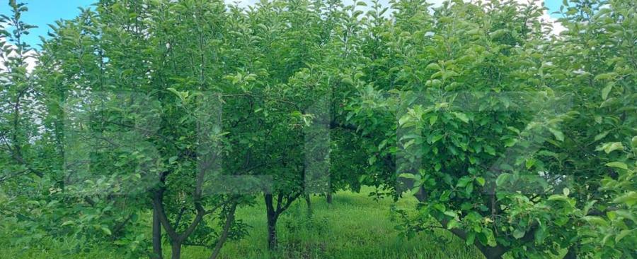 Casa de vanzare, la 11 km de Targu Jiu - 10