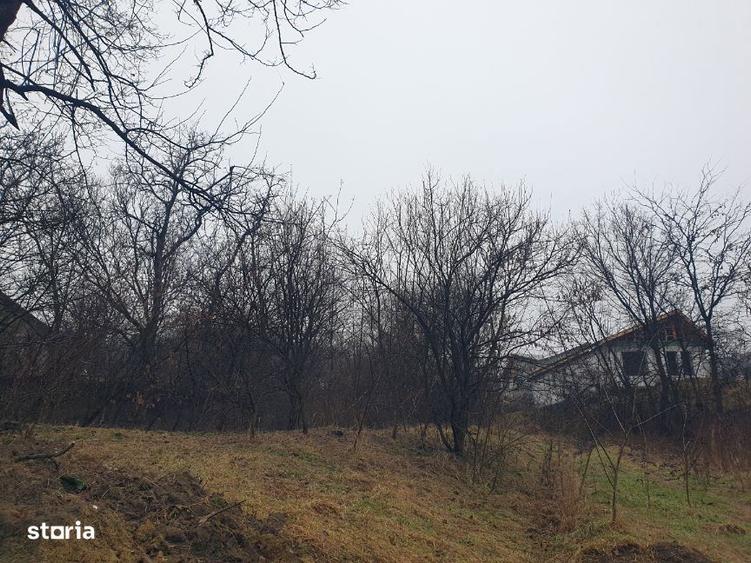 Teren intravilan IASI - COPOU - TICAU - Zona cu multa verdeata ! - 3