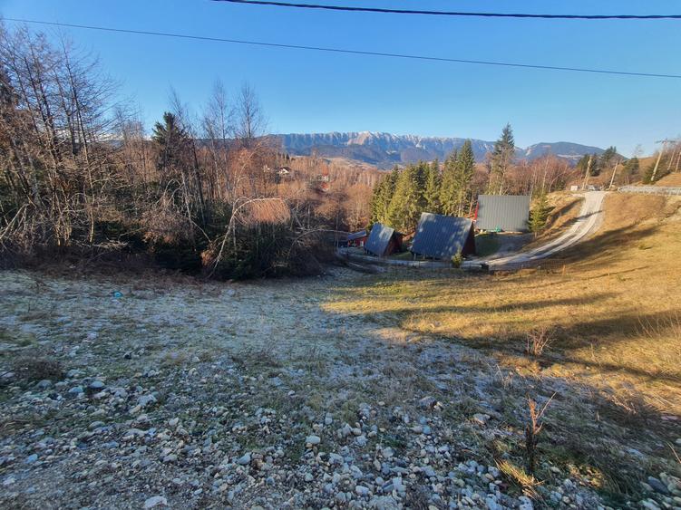 Teren Bran – Moieciu de jos - 2