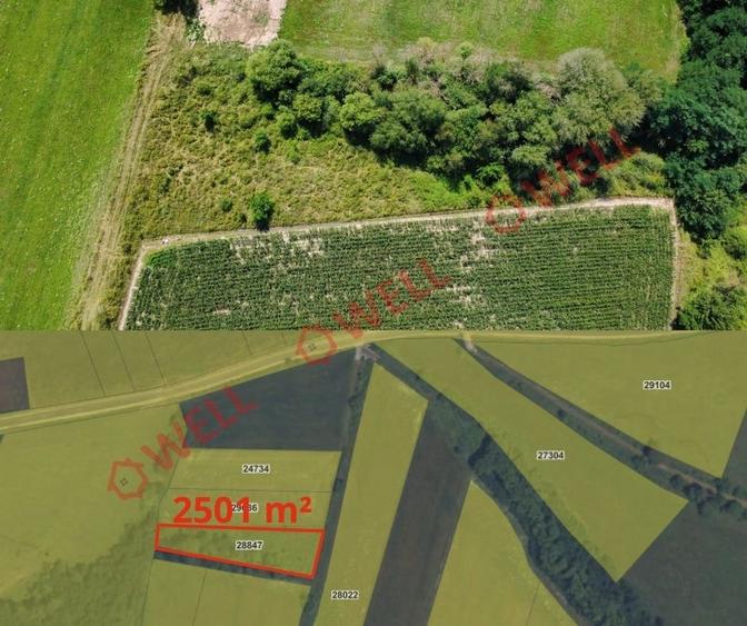 De vânzare 8 parcele de teren extravilan în apropierea localității Măgheruș! - 2