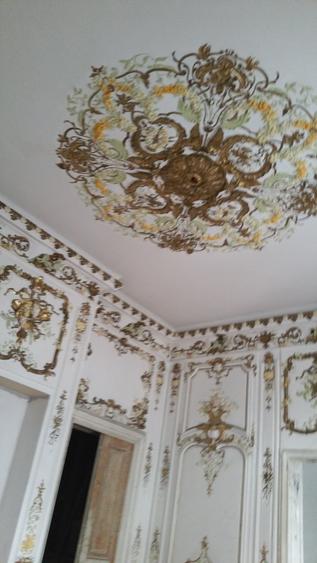 Vila vanzare Ateneul Roman, adiacent Calea Victoriei - 5