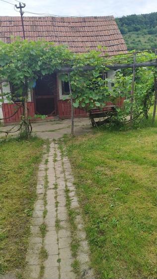 Vand casa la ?ara - 9