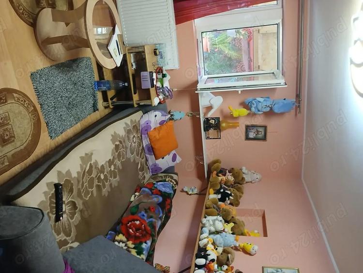 Casa deosebita de vanzare - 9