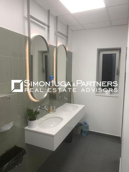 Birouri de inchiriat Brancusi - 14