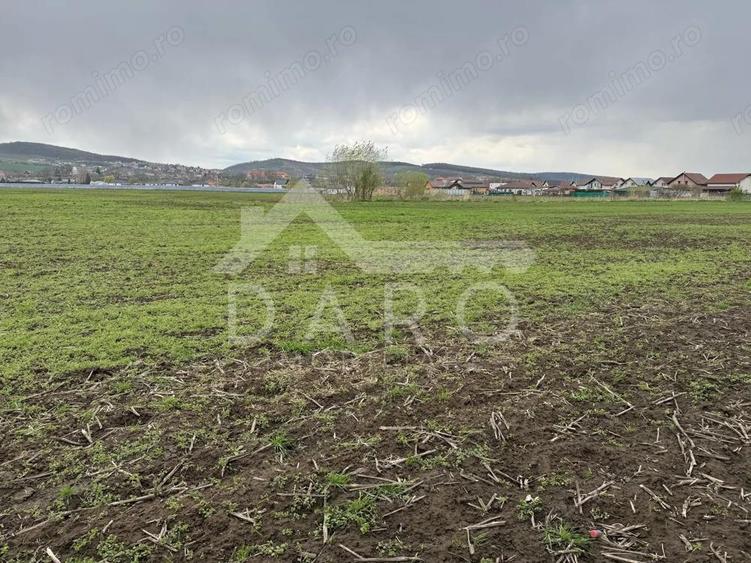 Teren intravilan in Sancraiu de Mure? - 2