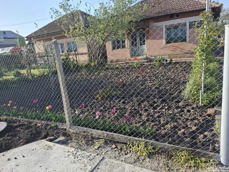Casa la tara cu teren 1.271 mp si livada acte in regula - 6
