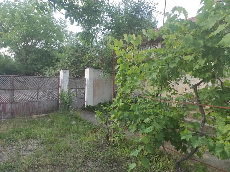 Vanzare casa - Licuriciu Calinesti Teleorman - teren 800mp - 7