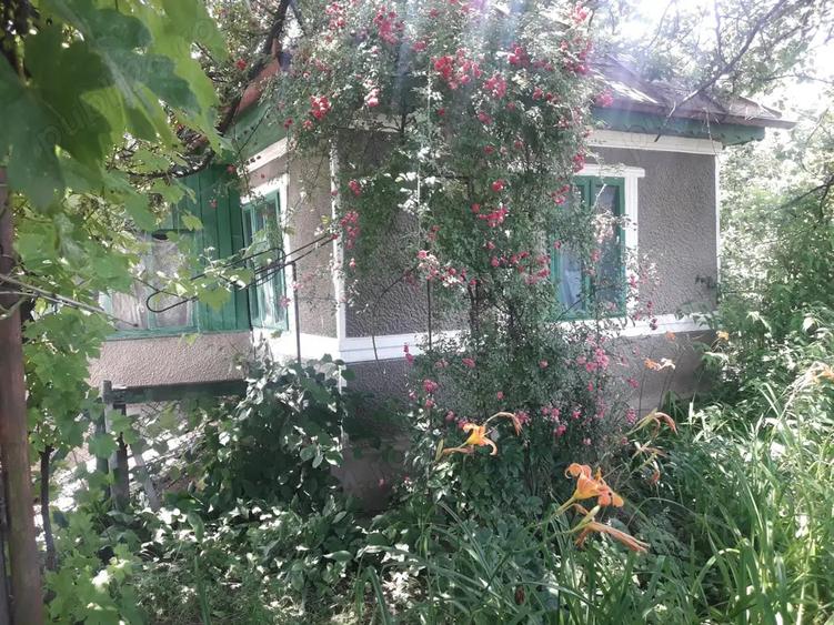 Vand casa in Piatra Neam?. - 5