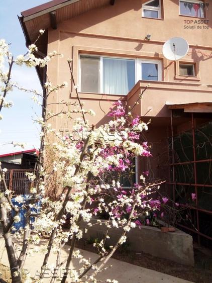 Chiajna - parcul Viitorului - 3