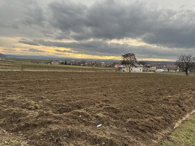 Teren intravilan in Mitocasi - 8