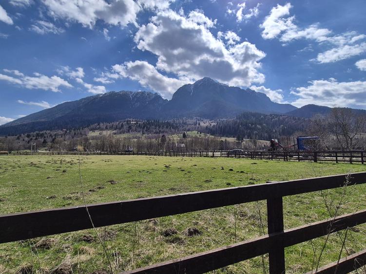 Teren superb intravilan 1200 mp, Plaiul Foii, vedere la munte - 8