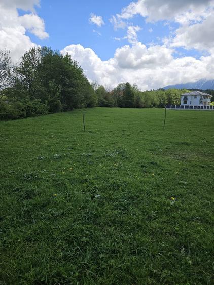 Vand pensiune Tohanu Nou jud Brasov - 7