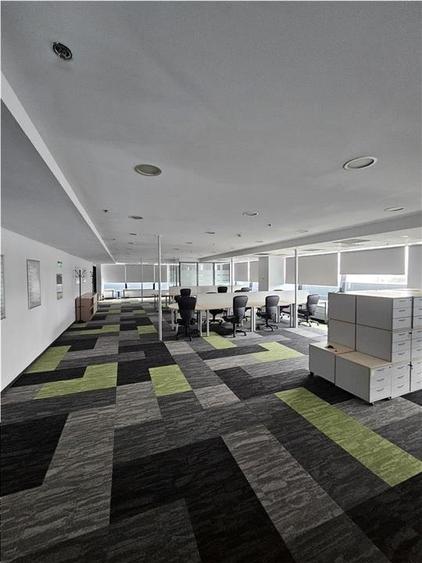 Spatii Birouri - 500 la 3500 mp - Parcul Sub Arini - 1