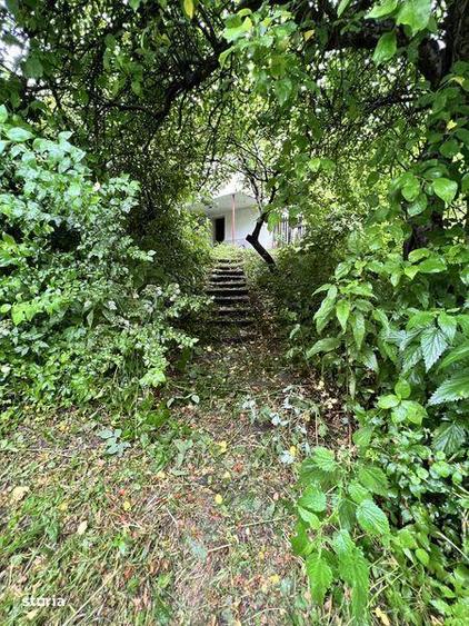 Teren si casa Provita de Jos - 2