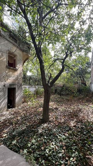 VILA INDIVIDUALA CISMIGIU | INTR. TEMISANA - 8