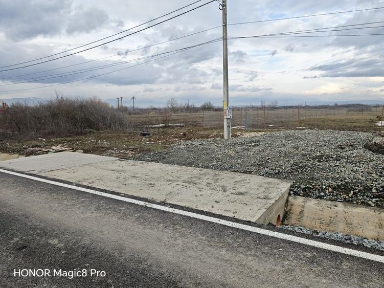 Teren casa Ana Ipatescu - 2