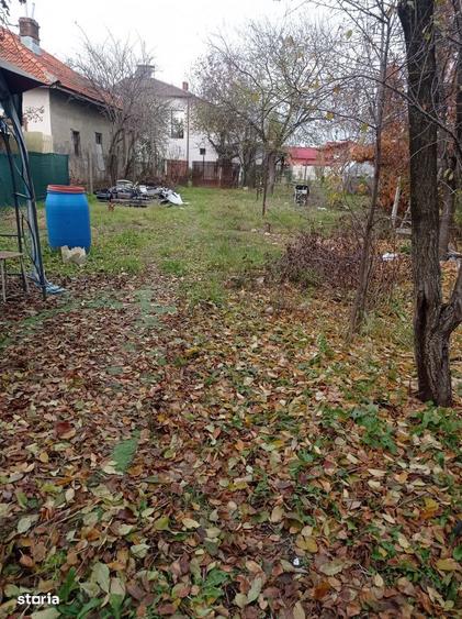 Vanzare teren 1200 mp si casa batraneasca Priseaca - 3