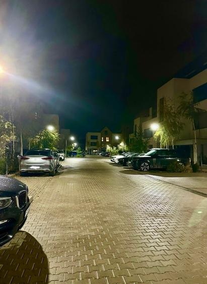 Catted Family Pipera - 4