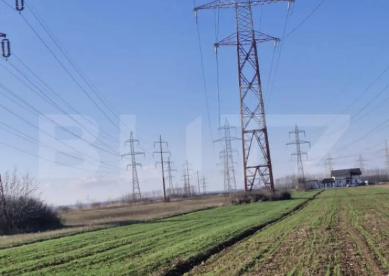 Teren extravilan 5.000 mp | Deschidere 15,79 m | Acces DN7 | - 2