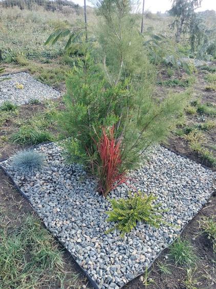 Ofer gradina de relaxare si stat in tihna, in Cluj-Napoca - 5