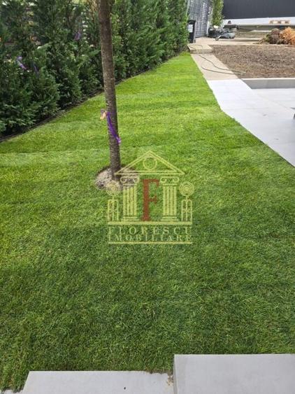 Proprietate superba ! Visan ! - 3