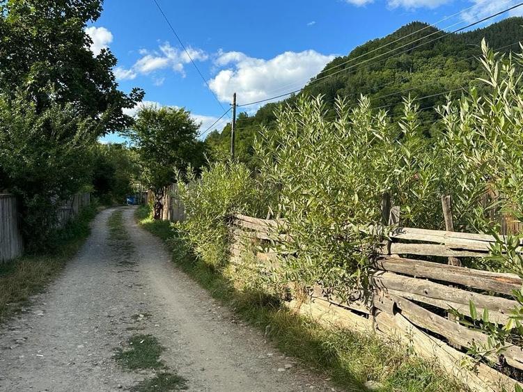 Teren intravilan Lepsa - 5