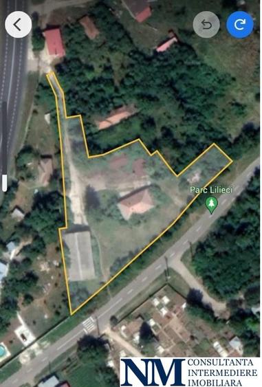 Ideal angrosiștilor din centrele comerciale,  Europa, Dragonul Rosu, Doraly - 4