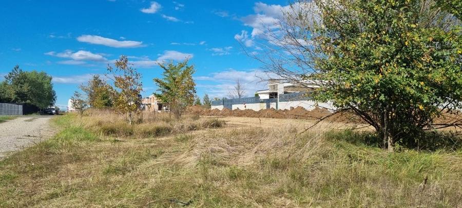 Lot Compact - Pretabil Lotizare - Dezvoltare proiect Vile - 1