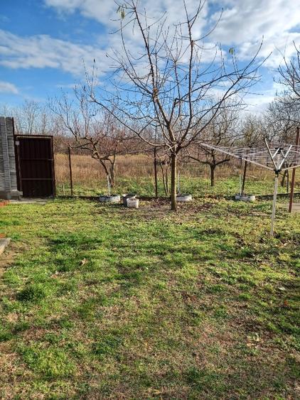 Casa cu 3 camere - 5